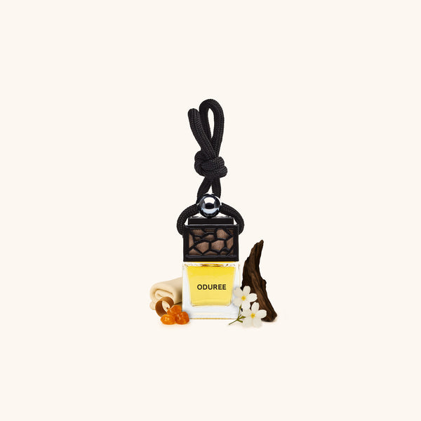 Car Perfume Hanger