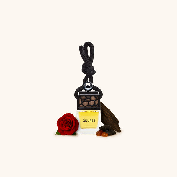 Car Perfume Hanger