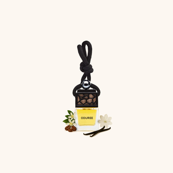 Car Perfume Hanger