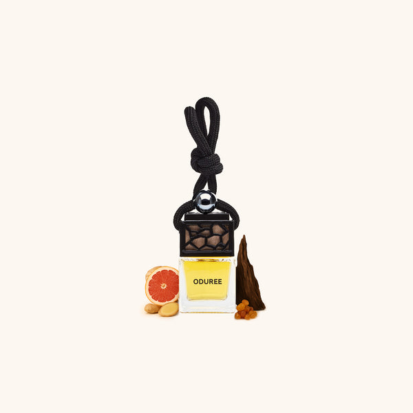 Car Perfume Hanger