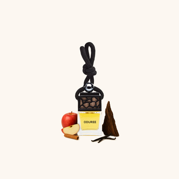 Car Perfume Hanger