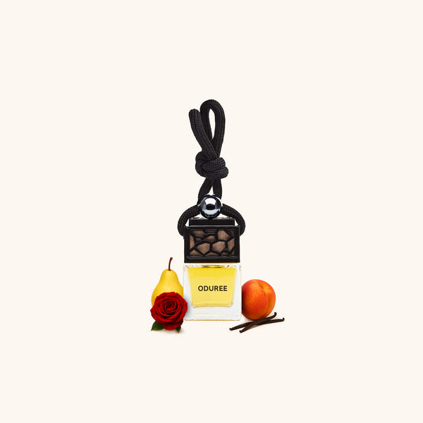 Car Perfume Hanger