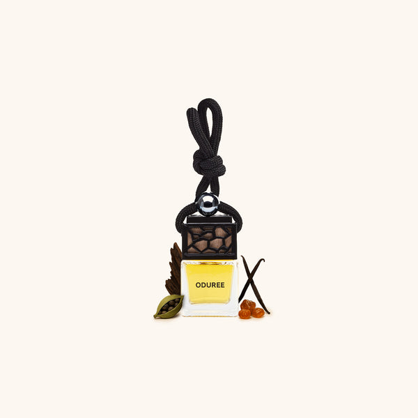 Car Perfume Hanger