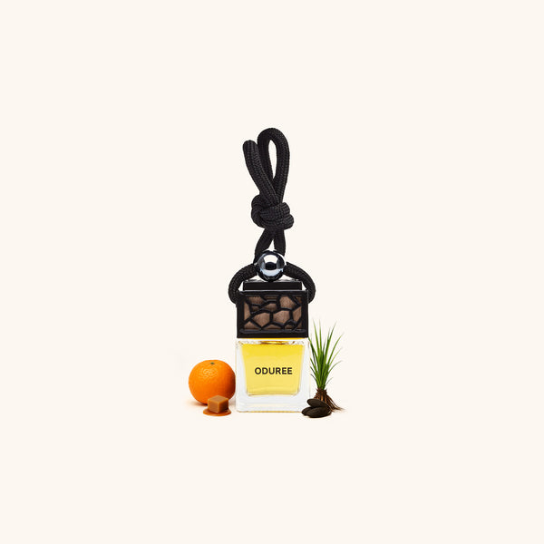 Car Perfume Hanger