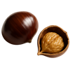 Kastanje