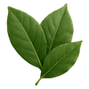 Laurierblad